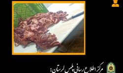 کشف ۵۰۰ کیلوگرم گوشت قرمز غیر بهداشتی در دورود