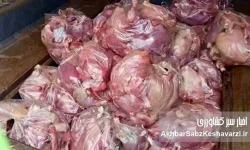 کشف بیش از ۸ تن گوشت مرغ قاچاق در دلفان