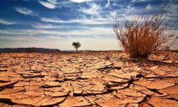 هشدار قرمز در لرستان؛سند نجات از خشکسالی روی میز تصمیمگیران