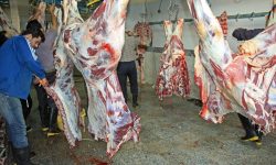 فعالیت همه کشتارهای دام لرستان در اربعین