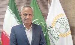 نقش راهبردی آموزش در تربیت نیروی ماهر بخش کشاورزی