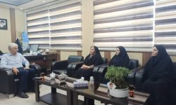 ضرورت تسریع در واگذاری زمین به واجدان شرایط طرح جوانی جمعیت