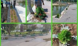 آغاز عملیات کاشت گل‌های فصلی در پارک کیو خرم‌آباد