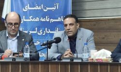 نصب ۲۴ هزار پورت فیبر نوری خانگی در لرستان