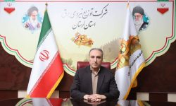 جمع آوری ۲۴۹۰ مورد برق غیرمجاز در لرستان