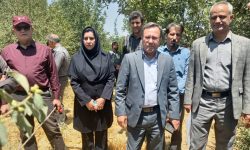 بازدید رئیس سازمان جهاد کشاورزی از باغ گیاه‌شناسی زاگرس خرم آباد
