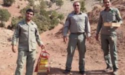دستگیری متخلفان زنده گیری پرندگان زینتی در دلفان