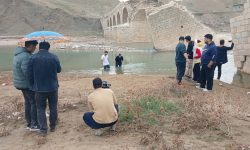 «هیدن» آماده نمایش و پخش شد
