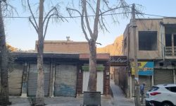 چنارهای ۲۰۰ ساله کنار قلعه فلک‌الافلاک در خطر نابودی!