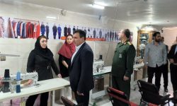 افتتاح ۲ واحد تولیدی در شهرستان دورود