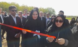 افتتاح ۲ طرح پرواربندی دام در شهرستان سلسله