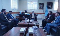 خدمات اجتماعی جایگزین مجازات حبس مددجویان شود