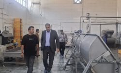 بازگشت واحد راکد «کیوار» دورود به خط تولید