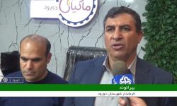 تولید روزانه ۵۰ تن مرغ در کشتارگاه مرغ ماکیان دورود