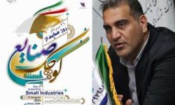 پیام تبریک مدیرعامل شرکت شهرکهای صنعتی لرستان به مناسبت روز ملی حمایت از صنایع کوچک