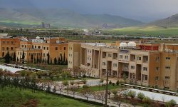 درخشش جهانی دانشگاه لرستان در شیمی آلی
