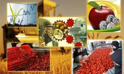 ضرورت حمایت از سرمایه گذاران برای توسعه صنایع تبدیلی در لرستان