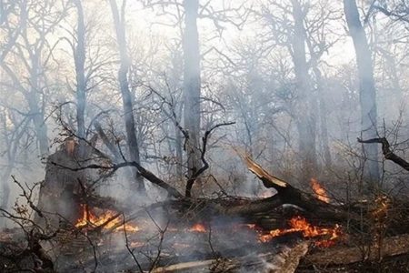 رخت سیاه بر تن «سفیدکوه»