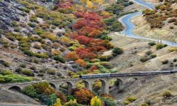 بازدید سالانه ۸۰ هزار گردشگر از روستای گردشگری بیشه