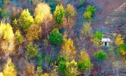 روستای درسون،نگین جنگل‌های سپیددشت