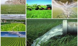 نقش پروژه‌های جهاد کشاورزی لرستان در توسعه پایدار و ارتقای رفاه اجتماعی