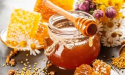 چهارمین جشنواره عسل اشترانکوه در ازنا