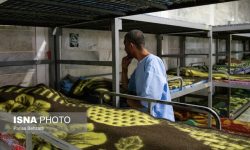 مجوز فعالیت کمپ ماده ۱۶ بروجرد صادر شد