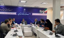 شناسایی ۱۷۸ ملک برای اجرای مولدسازی