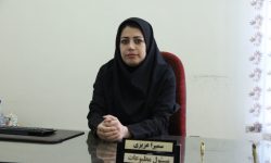 نشریات محلی،میراث مکتوب هر جامعه/ انتقال ۸۲ عنوان نشریه لرستان به کتابخانه ملی