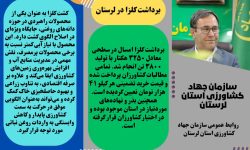 ۳۸۰۰ تن کلزا از مزارع لرستان برداشت شد