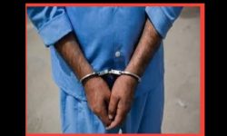 دستگیری عامل سرقت احشام در عملیات ضربتی پلیس