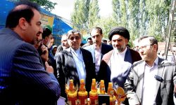 دره‌تخت ازنا میزبان جشنواره طلای شیرین لرستان+تصاویر