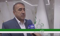 تأکید بازرس کل لرستان بر افزایش نظارت‌های میدانی بر بازار