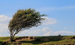 پوشش ابر و افزایش سرعت وزش باد در لرستان