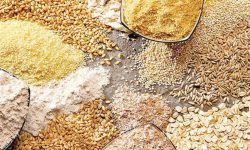 توزیع ۷۴ هزار تن انواع نهاده‌ دامی در لرستان