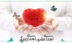 بانوی بروجردی نجات‌بخش چند بیمار شد