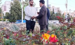 آغاز طرح تحول فضای سبز شهری