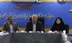 بروجرد قطب فرهنگی و هنری لرستان است