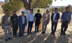 اولین «دهیار جنگلبان» لرستان معرفی شد
