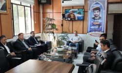 دریافت مجوز احداث ۴ زمین چمن مصنوعی جدید در معمولان