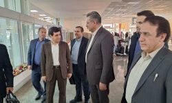 سفر معاون وزیر تعاون به لرستان