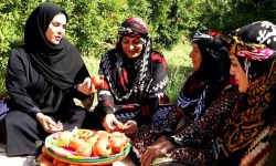 جشنواره پنج‌روزه انار در سیاب کوهدشت؛روایت سرخِ شیرینی از دل لرستان