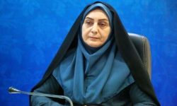 سومین دوره انتخابات شورای توسعه و حمایت از سازمان های مردم نهاد برگزار می شود