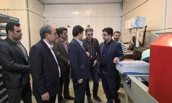 حمایت دیوان محاسبات لرستان از تولیدکنندگان بخش شیلات