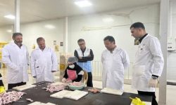 بازدید مدیر کل دامپزشکی لرستان از شرکت پای مرغ پاورچین