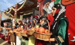 کوهدشت قطب انار لرستان با تولید سالانه ۳۰ هزار تن