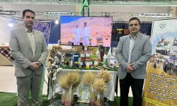 درخشش محققان لرستان در دوازدهمین نمایشگاه تخصصی کشاورزی