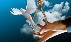 آزادی ۲۵ زندانی لرستان مقارن با ایام فاطمیه