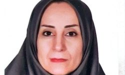 کسب رتبه برتر کشوری توسط معلم لرستانی در جشنواره بازی‌های آموزشی مدارس شاهد