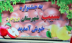 اراده‌ای فولادین در مشت‌های دختر کاراته‌کای الشتری